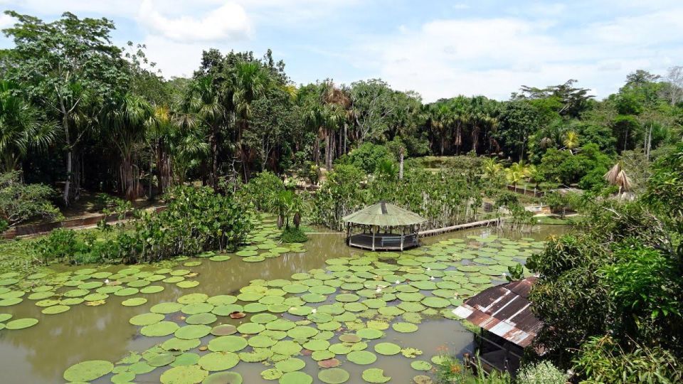 Day Trip on the Amazon River. - Select Participants and Date