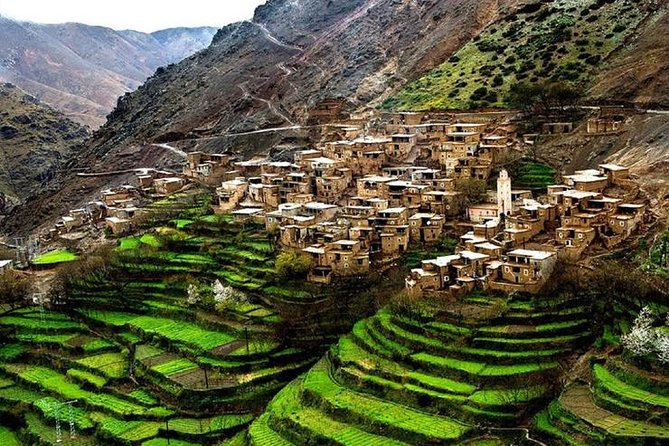 Day Trip to Atlas Mountains Ourika Waterfall & Berber Villages & With Camel Rid - Cultural Experience
