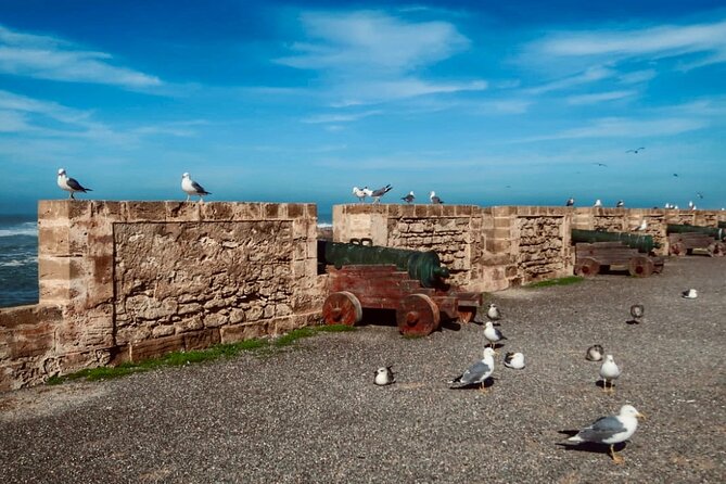 Day Trip to Essaouira - Souvenir Shopping