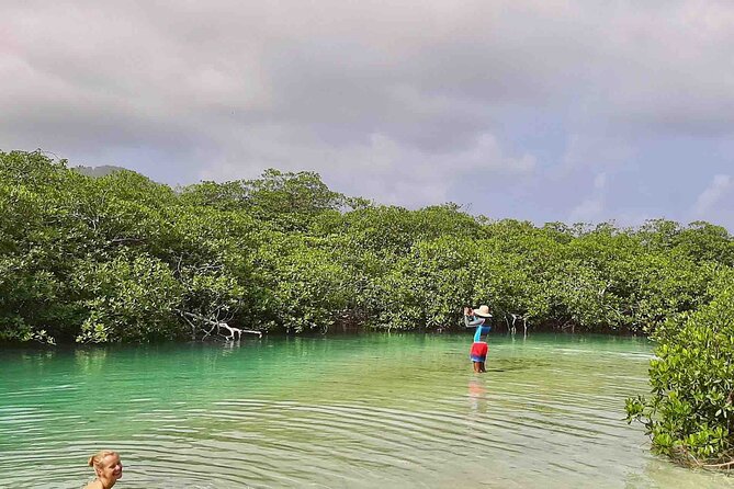 Day Trip to the Caribbean Sea on a Beautiful Sailboat - Includes Lunch - Reviews and Ratings