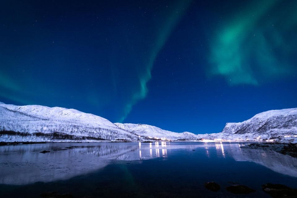 Day Trips From Tromsø - Reindeer Sledding Experience in Tromsø