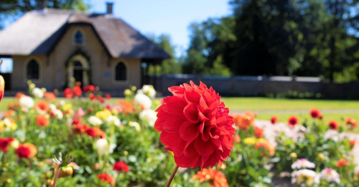 Daytour Keukenhof Castle Flower Garden and Flower Farm - Tour Inclusions