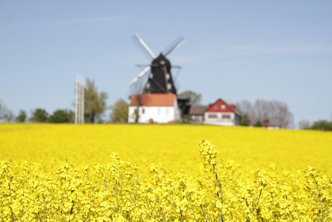 Daytrip Lund & Malmö City Tour - Guides Expertise and Style