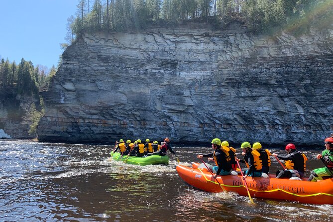 Descent of the Jacques-Cartier River - Wildlife and Nature Spotting Opportunities