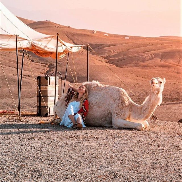 Desert Agafay Dinner at Nomad Camp and Camel Ride - Participant Information