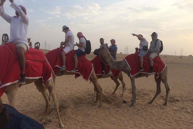 Desert Camel Ride With Live Shows & BBQ Buffet Dinner - Cancellation Policy