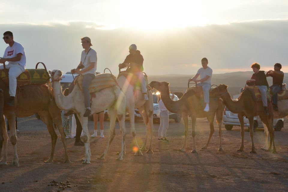 Desert Dreams: Camel Ride & Dinner Show in Agafay - Highlights