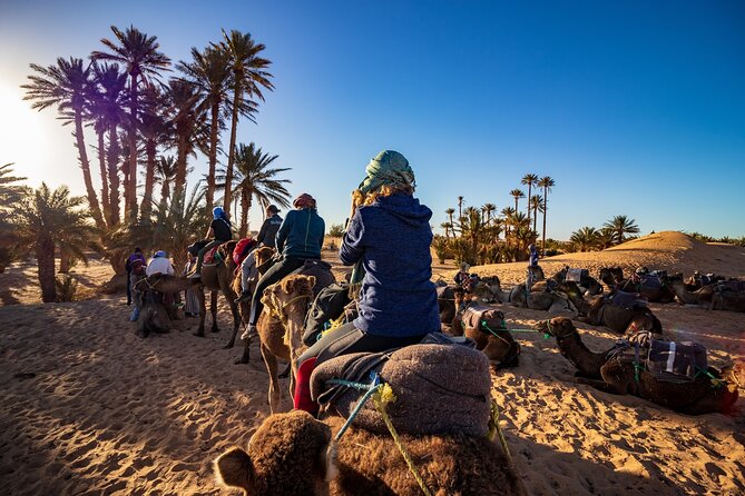 Desert Odyssey: 2 Days _ Marrakech to Merzouga Expedition - Day 1 Contd: Ouarzazate to Tinghir