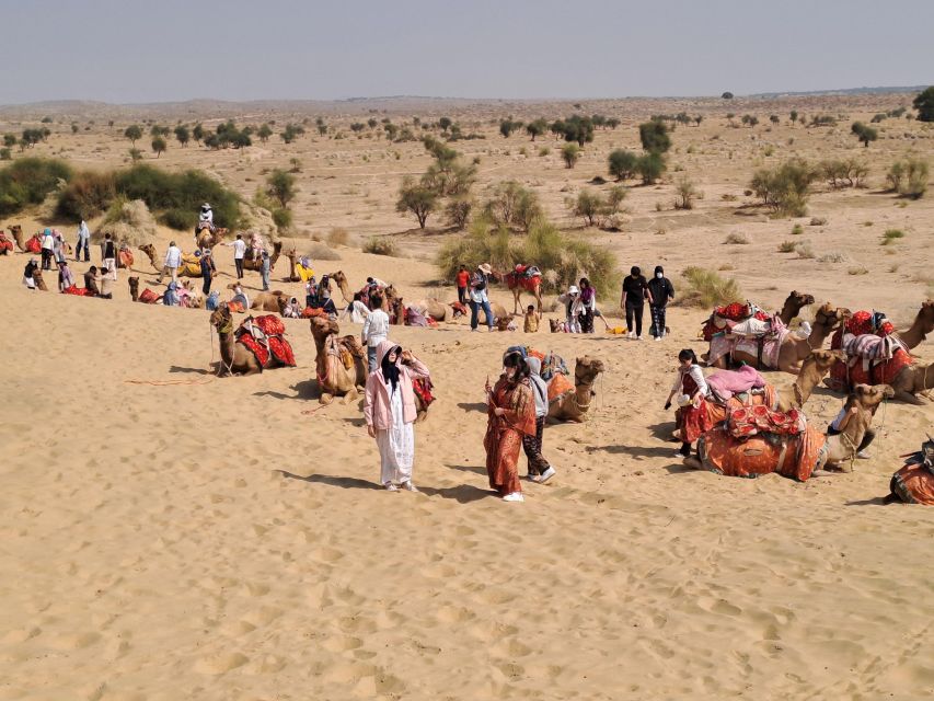 Desert Rose Jaisalmer: Luxury Tent In Thar Desert - Customer Reviews and Satisfaction