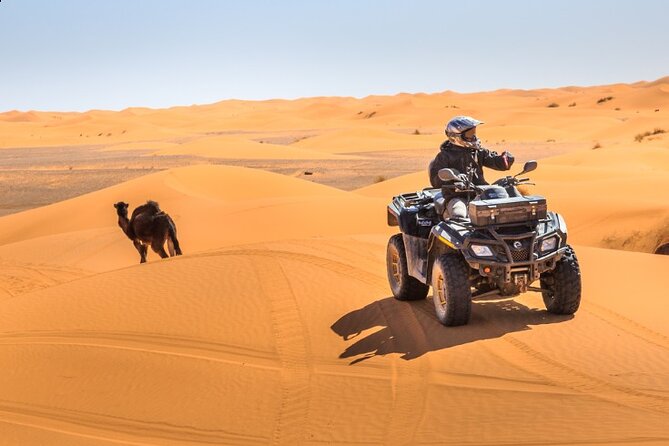 Desert Safari Dubai - Traveler Photos and Reviews