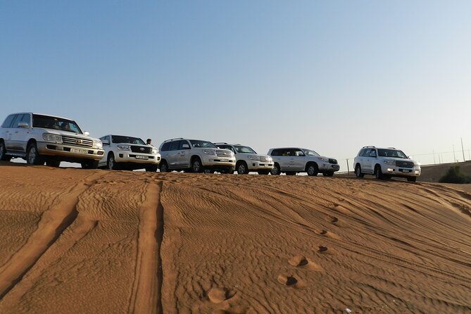 Desert Safari in Dubai Red Dunes With BBQ VEG Dinner - Background