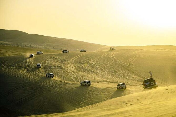 Desert Safari Inland Sea Private Tour - Desert Activities