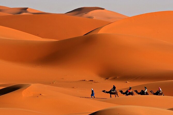 Desert Safari With Quad Bike Ride in Red Dunes - Additional Information