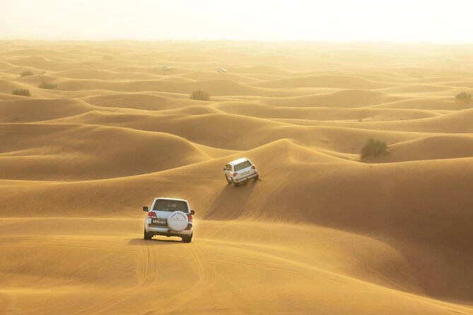 Desert Safari With VIP Seating, BBQ Dinner, Dune Bashing & More - Additional Information and Support