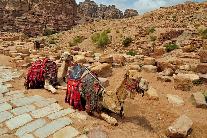 Desert Sunset Camel Ride With Free Tea in The Desert Camp - Customer Reviews