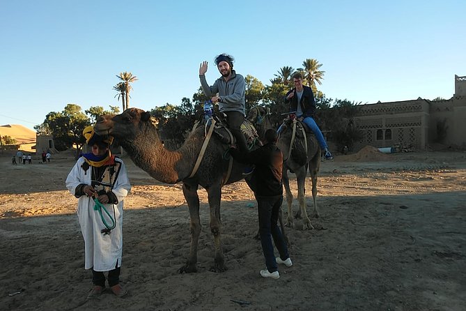 Desert Trip From Fes to Fes via Merzougua (2days,1night) - Meals and Dining Options