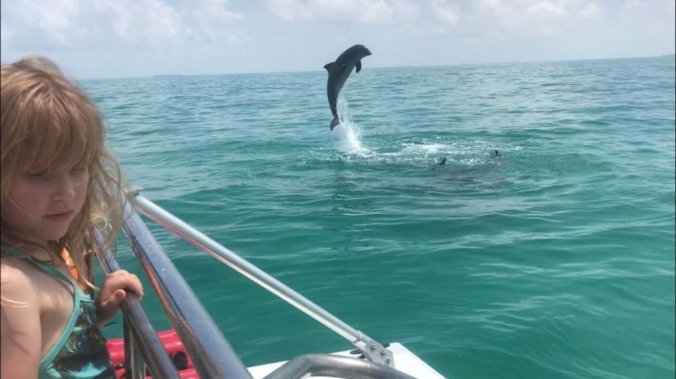 Destin: Dolphin Watch Cruise - Reviews and Ratings