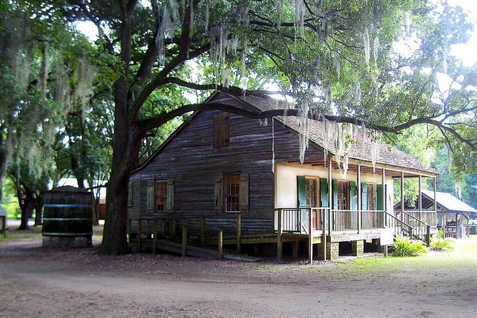 Destrehan Plantation and Large Airboat Tour From New Orleans - Tour Highlights