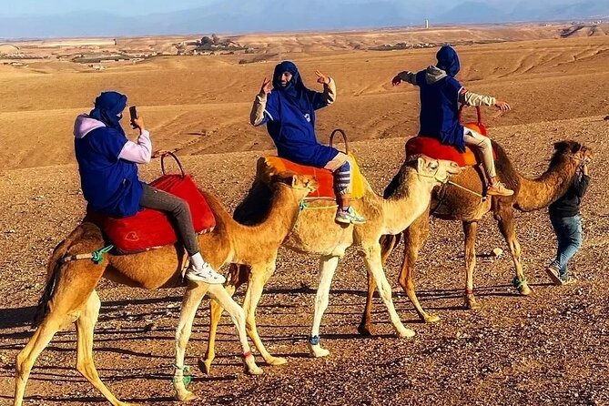 Dinner Experience & Sunset With Camel Ride Tour - Legal and Operational Information