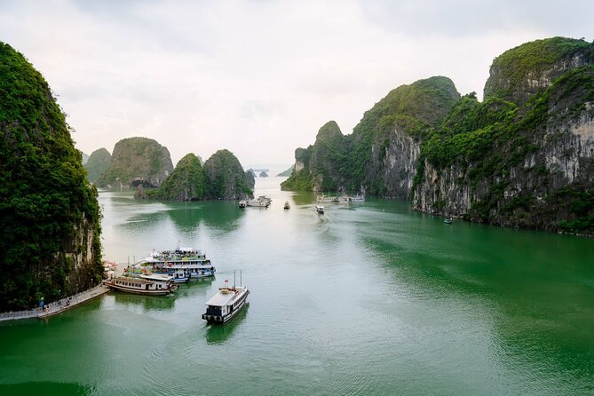 Discover Halong Bay - Titop Island - Surprise Cave 1 Day With Lunch From Hanoi - Lunch Arrangements and Menu