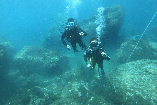 Discover Scuba Diving - Explore Underwater Marine Life
