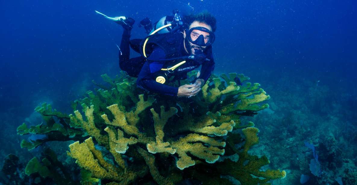 Discover Scuba Diving: Costa Maya's Reef Experience