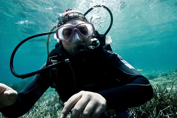 Discover Scuba Diving Experience in Andros Island! - Booking Information and Pricing