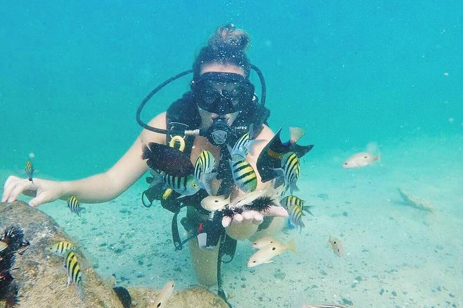 Discover Scuba Diving in Dubai - Traveler Interaction Highlights