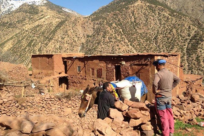 Discover the Atlas Mountains and Its Waterfall, Half Day Tour - Pricing and Booking