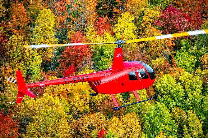 Discover the Monteregie Landscape Helicopter Tour - Weight Restrictions