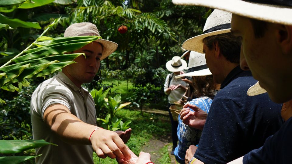 Discover the Secrets of Coffee, Cacao, and Waterfall in Minca - Experience Highlights and Itinerary