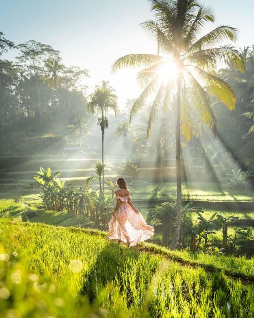 Discover Ubud: Tailored Private Tour With Top Highlight - Tour Itinerary