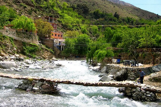 Discovering Ourika Valley and Atlas Mountains With a Local Guide - Cultural Immersion