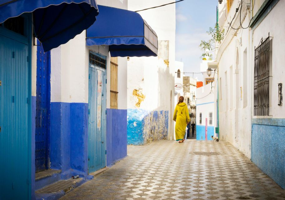 Discovering Tangier and Asilah: A Full-Day Adventure - Camel Rides at Tangier Beach