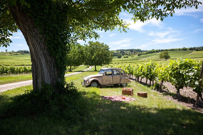 Discovery of the Cognac Vineyard in a 2CV With Picnic in the Middle of the Vines - 2CV Experience