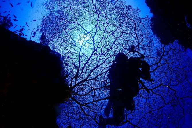 DiveGurus -Scuba Diving in Boracay - Expert Dive Instructors