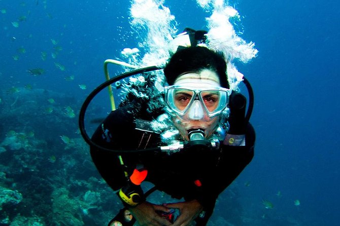 Diving in the Mediterranean Sea - First-Time Diving Tips and Feedback