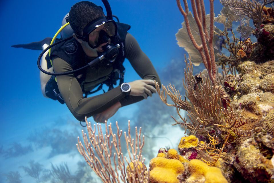 Diving Santa Marta & Tayrona for Certified Divers (2 Tanks) - Preparation and Requirements