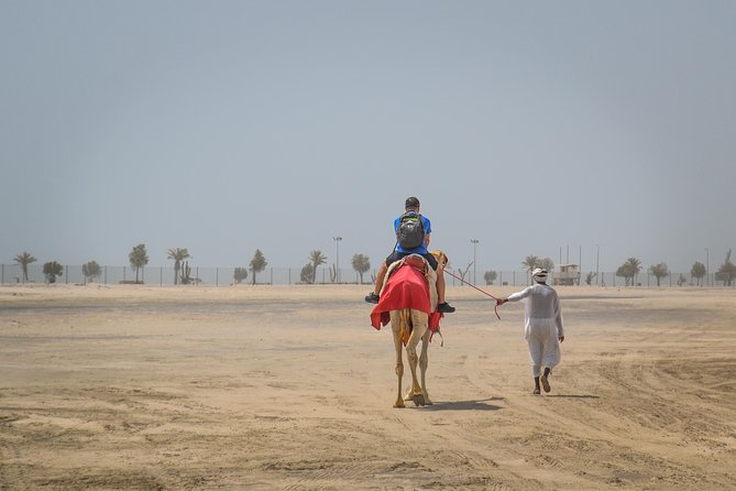 Doha: Desert Safari, Dune Bashing, Camel Ride, Sandboarding & Inland Sea - Important Information to Note