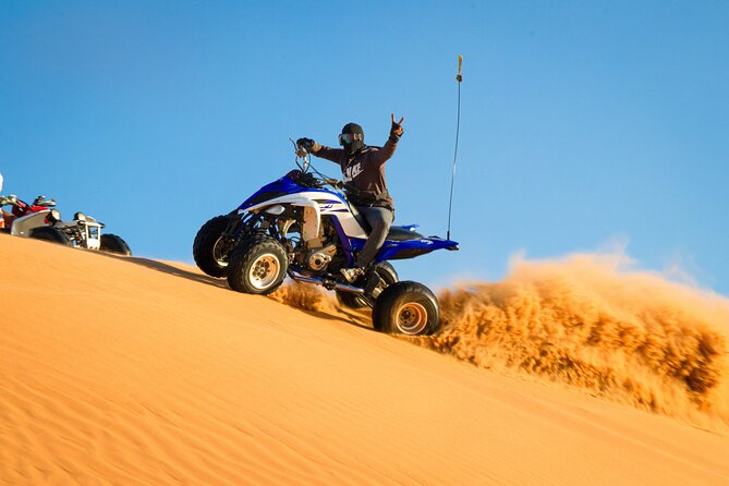 Doha: Quadbike, Dune Bashing, Camel Ride, Inland Sea Visit - Tour Type and Participation