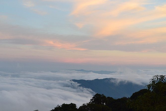 Doi Inthanon at Afternoon and Hiking - Reviews and Ratings Breakdown