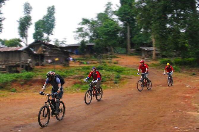Doi Suthep National Park Beginner Downhill Bike Ride From Chiang Mai - Transportation and Logistics