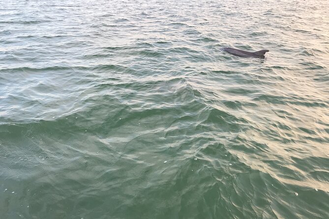 Dolphin Tiki Cruise Around Fort Myers Beach - Logistics Information