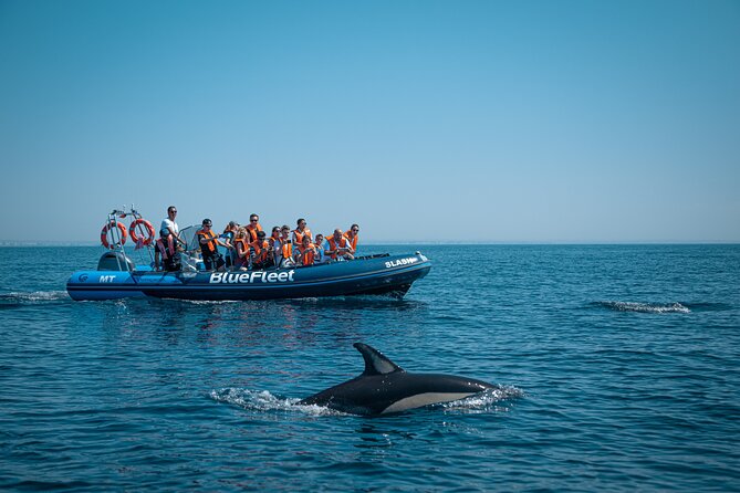 Dolphin Watching From Lagos - Refund Policy