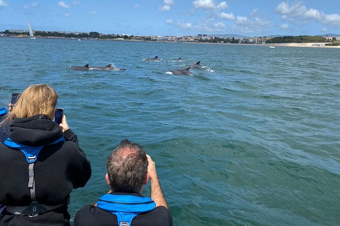 Dolphin Watching in Lisbon - Additional Information