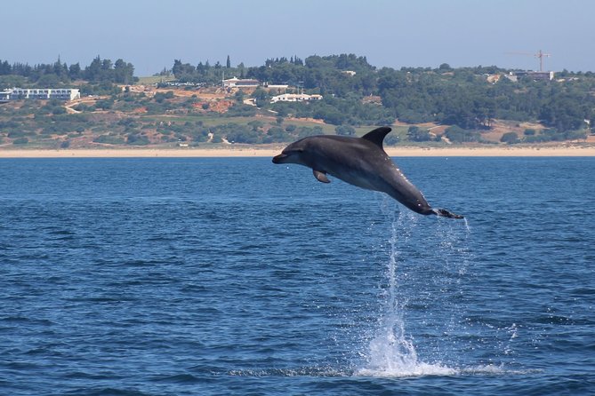 Dolphin-Watching in Marina De Lagos - Booking and Experience Process