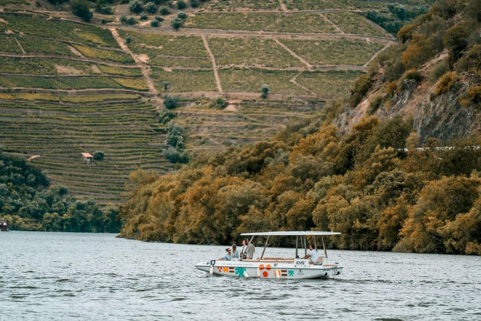 Douro River Solar Boat Tour With Wine Tasting- All Inclusive - Tour Highlights
