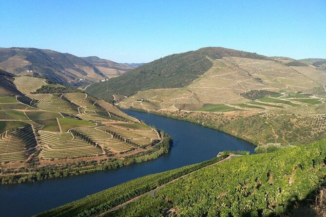 DOURO TOURS - in Pinhão 1 Day All Inclusive 135, DOURO Valley - Traveler Reviews and Ratings