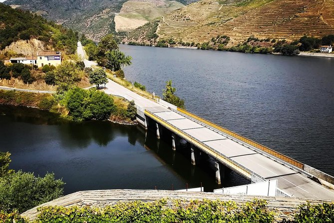 Douro Valley: Food and Wine Small Group Tour From Porto - Customer Feedback
