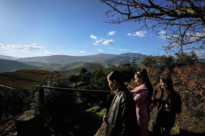 DOURO VALLEY in 8 Pax Groups W/ 2 Wineries, Lunch and 1h Cruise - Scenic Beauty